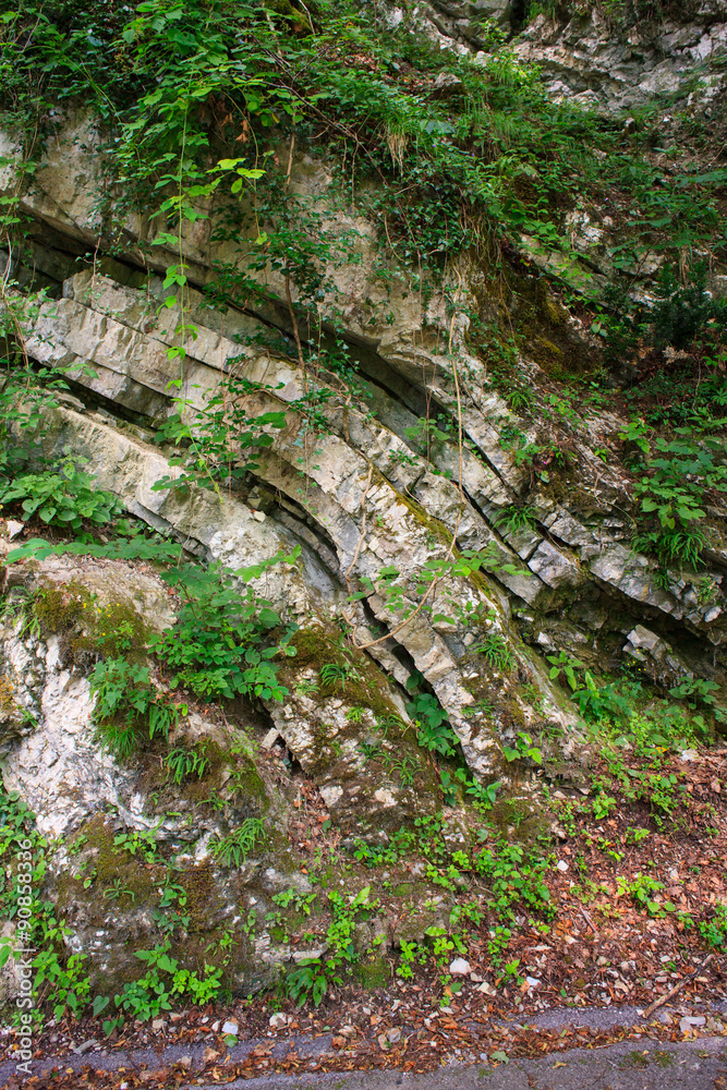 Sedimentary rocks Sedimentary rocks