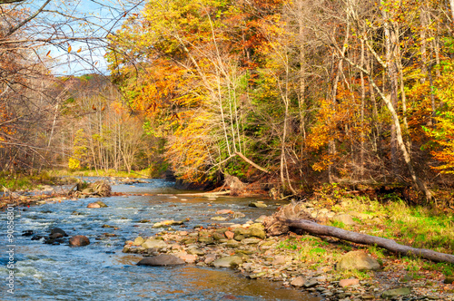 Meandering autumn creek