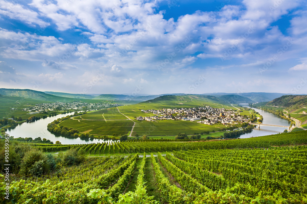 Fototapeta premium famous Moselle Sinuosity with vineyards