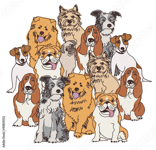 Photography Group dogs color isolate on white