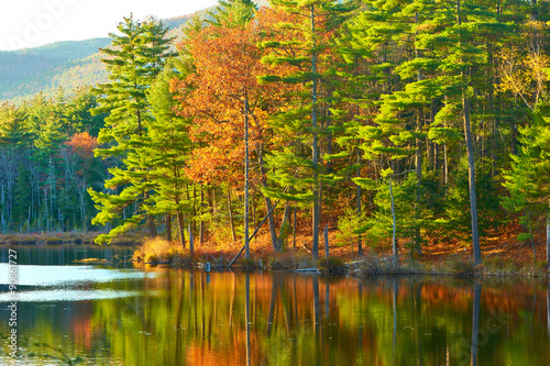 Pond in White Mountain National Forest, New Hampshire photo