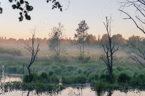 Wallpaper Mural Misty morning  over pond. Russian nature Torontodigital.ca