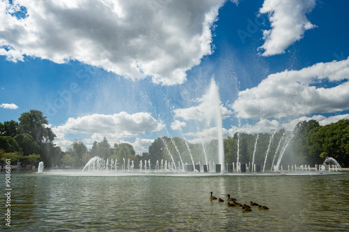 Ducks in the fountain. Park of Pobeda in Moscow photo