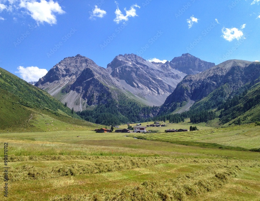 Typical swiss alpine valley view