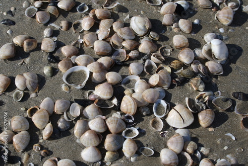 Liegenlandschaft am Strand Italiens