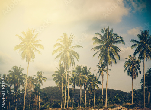 Coconut palm trees sunset. Instagram effect (vintage)