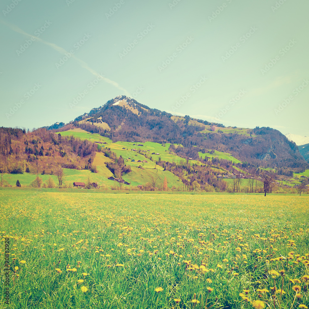 Fototapeta premium Swiss Alps