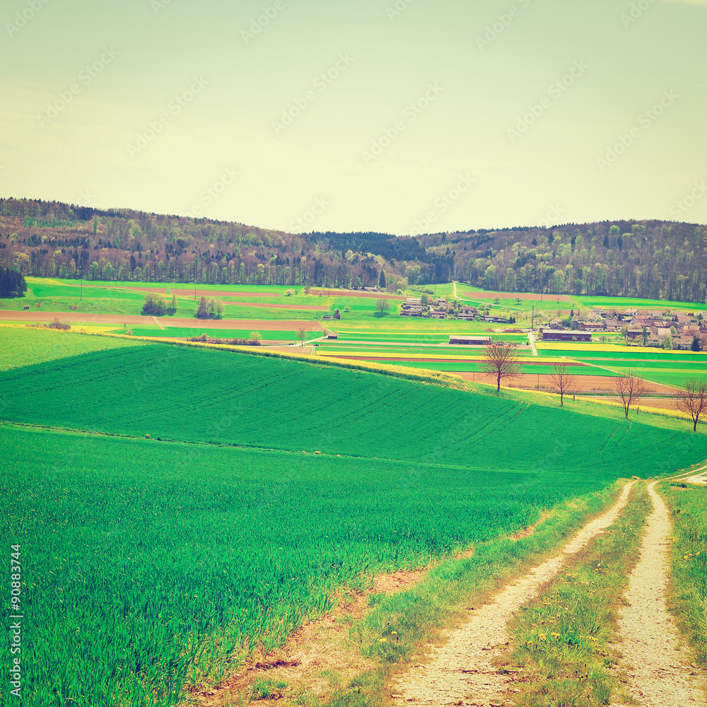 Naklejka premium Fields