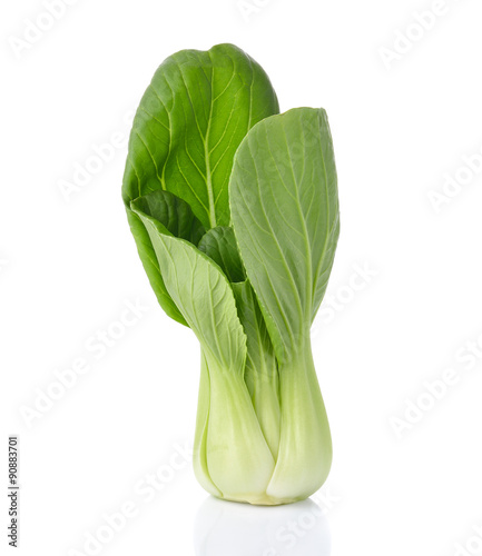 Bok choy (chinese cabbage) isolated on white