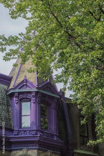 Old Purple House © Lynda Gagnon