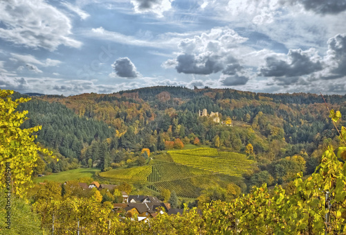 Fototapeta Naklejka Na Ścianę i Meble -  goldener Herbst in Oberkirch mit Schauenburg
