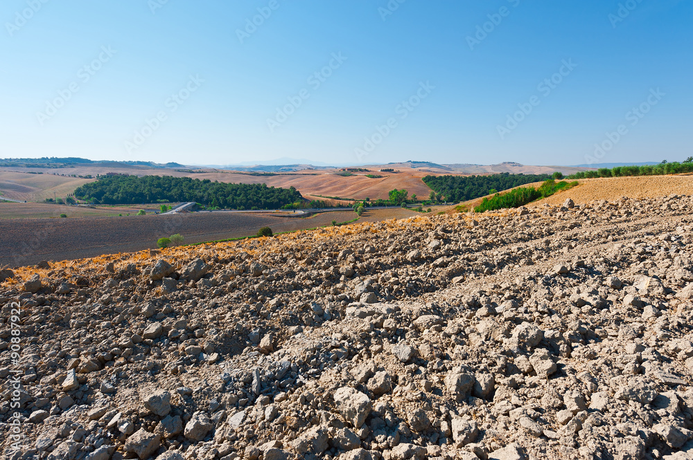 Fields of Italy Fields of Italy