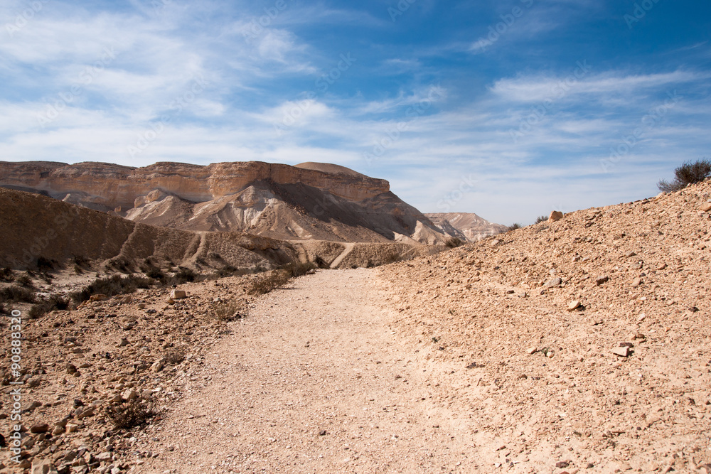 Travel in Negev desert, Israel