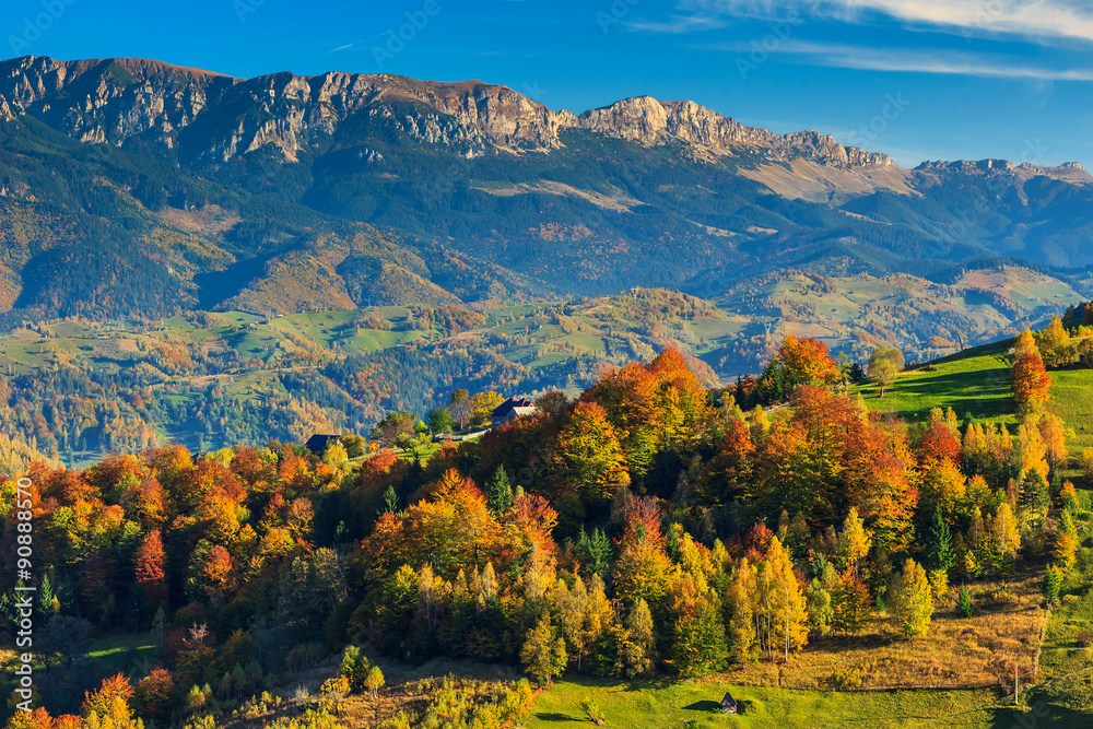 Green fields and colorful autumn forest,Magura village,Transylvania,Romania