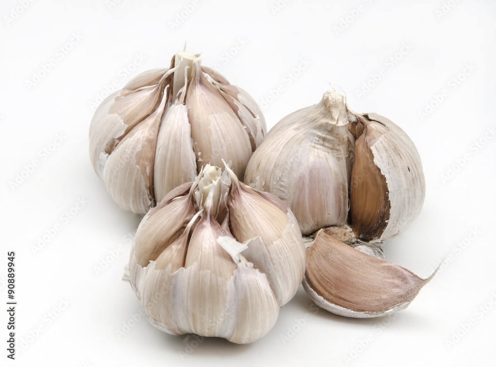 Fototapeta premium garlic