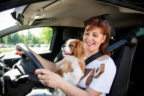 Woman and dog driving car © Martinan