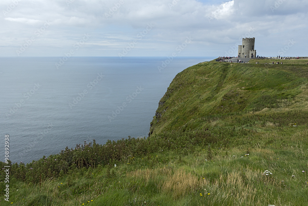 Nature Ireland. Nature Ireland.