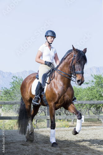 girl on a dressage session