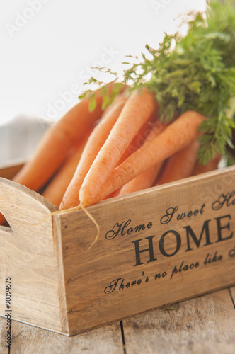 Carrot fresh organic close up