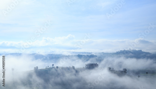 Moring view fog covering the mountain forests © jaxja