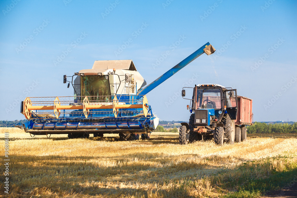 Obraz premium Combine harvester working