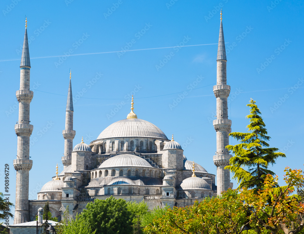 Obraz premium Sultan Ahmed Mosque (Blue mosque) in Istanbul in the sunny day, Turkey
