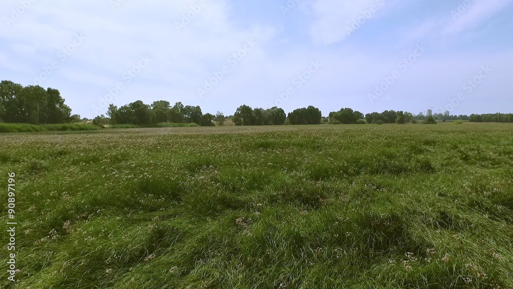 Travel shooting of a green beautiful field from air. Travel shooting of a green beautiful field from air.