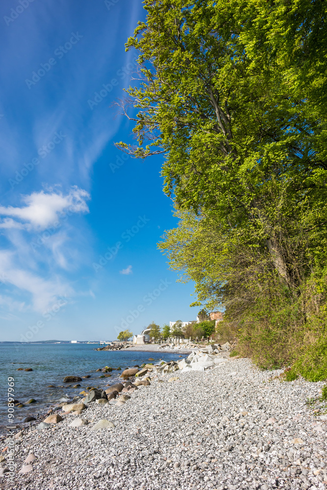 Fototapeta premium Ostseeküste auf der Insel Rügen