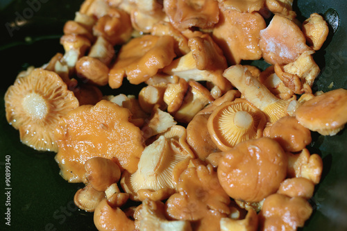 cooking chanterelle mushrooms