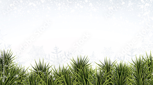 Christmas banner with spruce twigs.