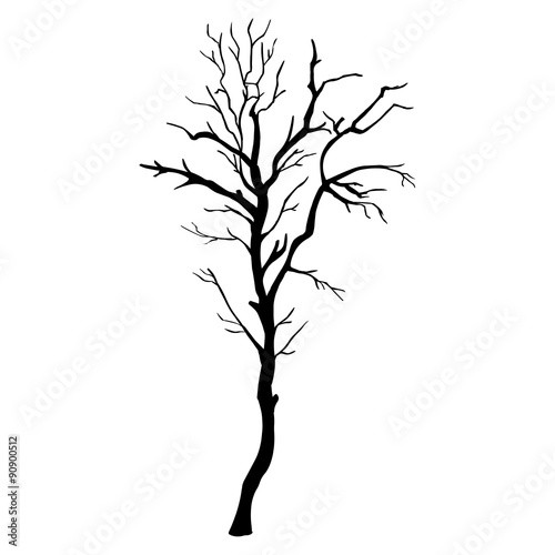 Vector Set of Trees  Silhouettes