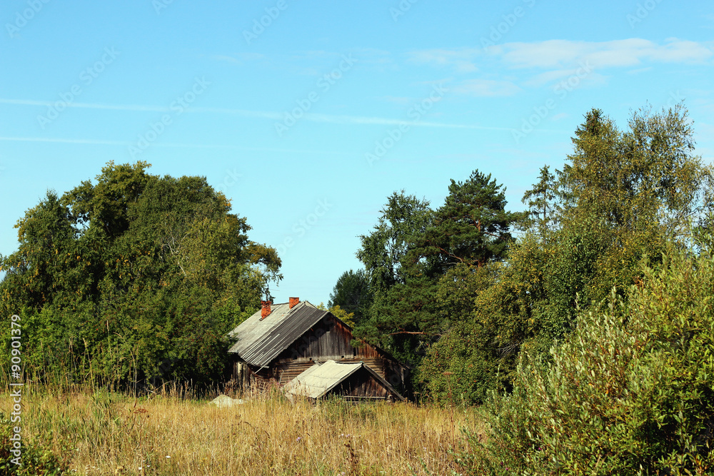 landscape of the village field