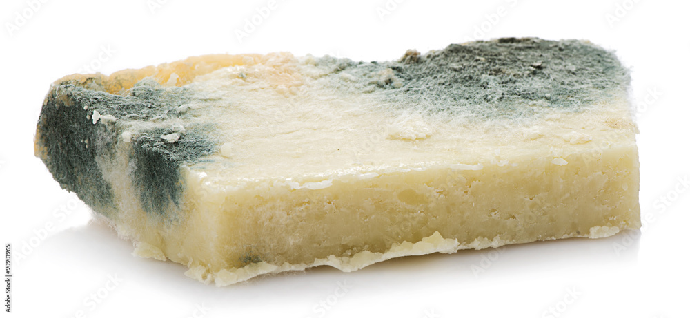 Fotografie White background studio image of a decayed rotten cheese