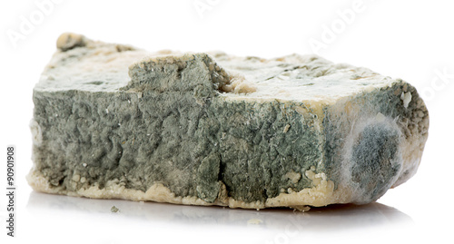 Moldy Cheese     © uwimages