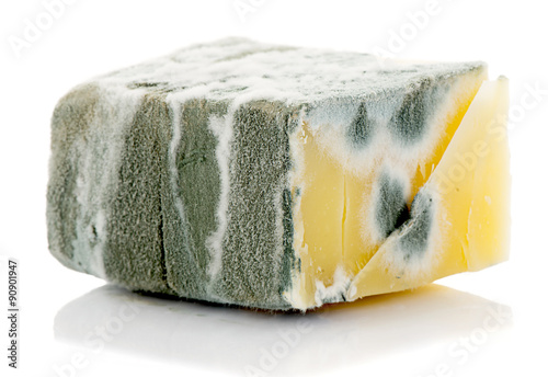 Piece of inedible mouldy cheese isolated 