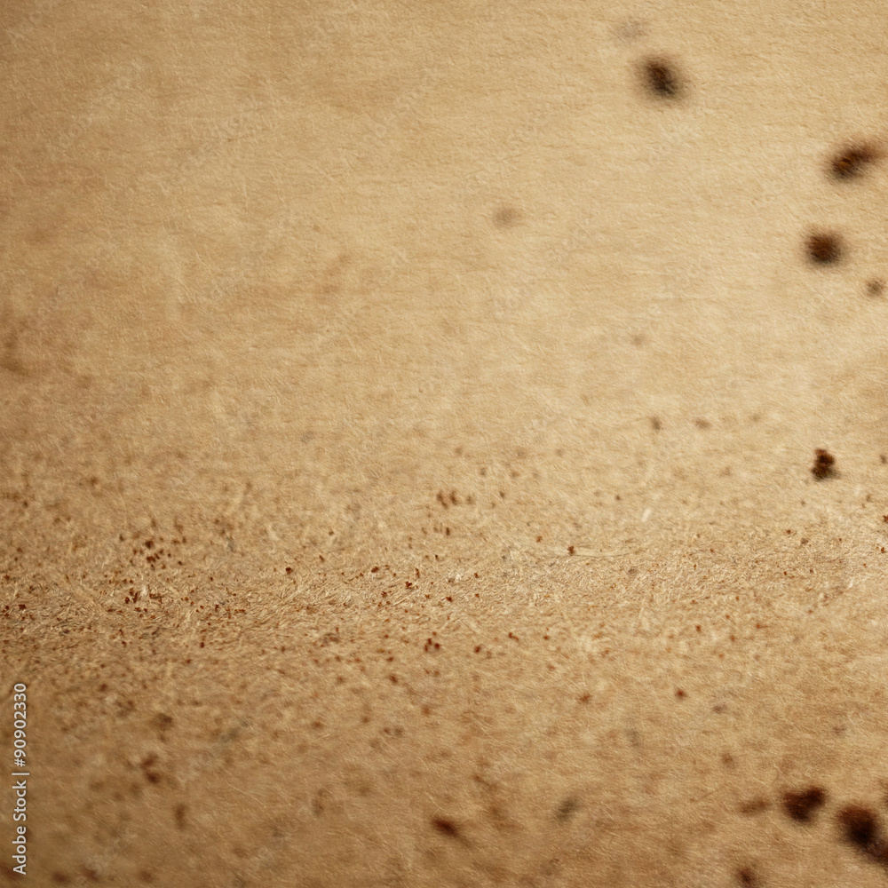 coffee beans on old paper texture for background
coffee beans on old paper texture for background