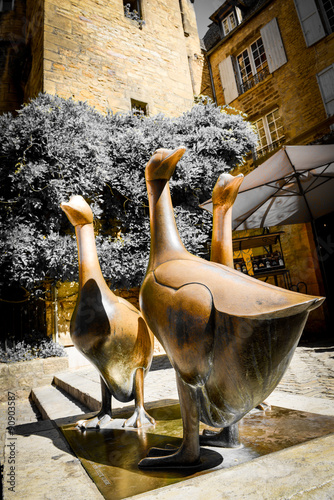 Sarlat-la-Canéda