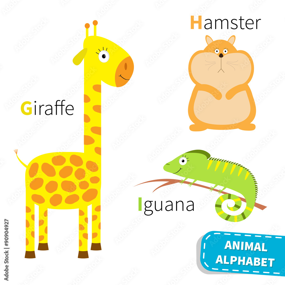 Letter G H I Giraffe Hamster Iguana Zoo alphabet. English abc with animals  Education cards for kids Isolated White background Flat design Stock Vector  | Adobe Stock