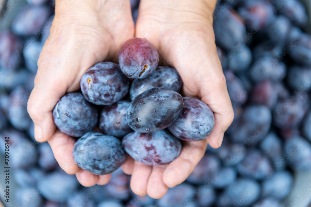 Fresh plums