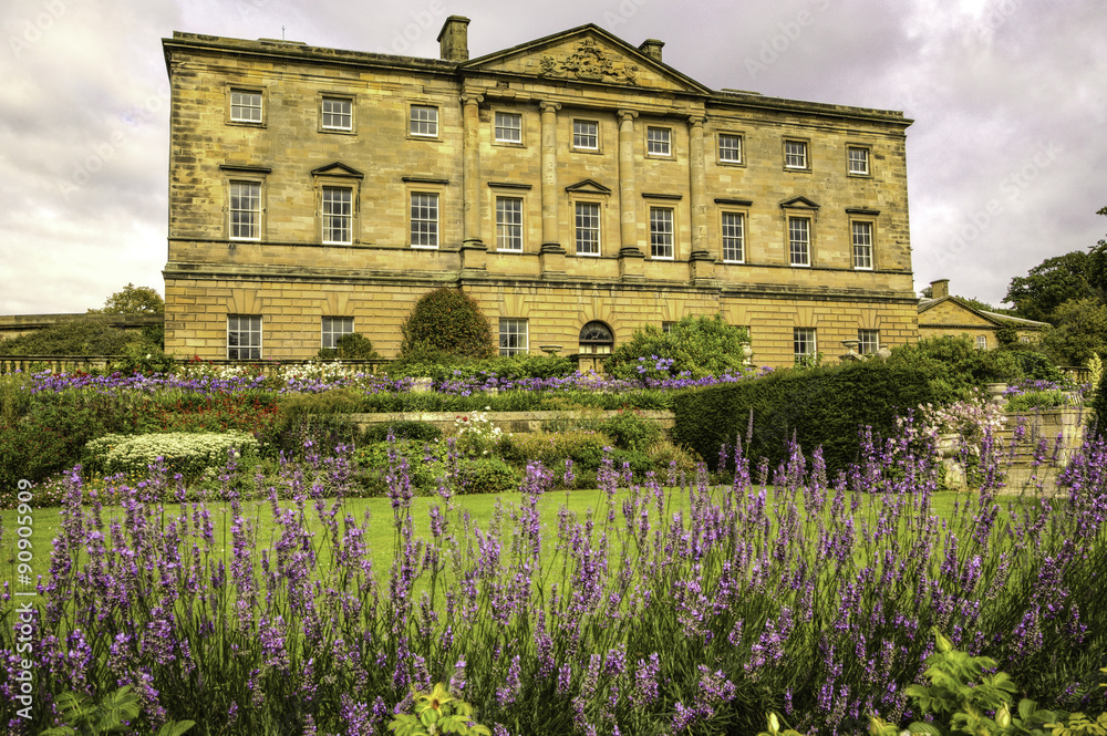 Lavender at Howick Hall, Northumberland