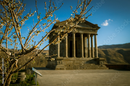 Spring tree near Garni temple. Armenia