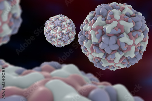 Background with viruses. Rhinovirus serotype 16. A virus causes common cold and rhinitis. A model is built using data of viral macromolecular structure from Protein Data Bank (PDB 1ND2) photo