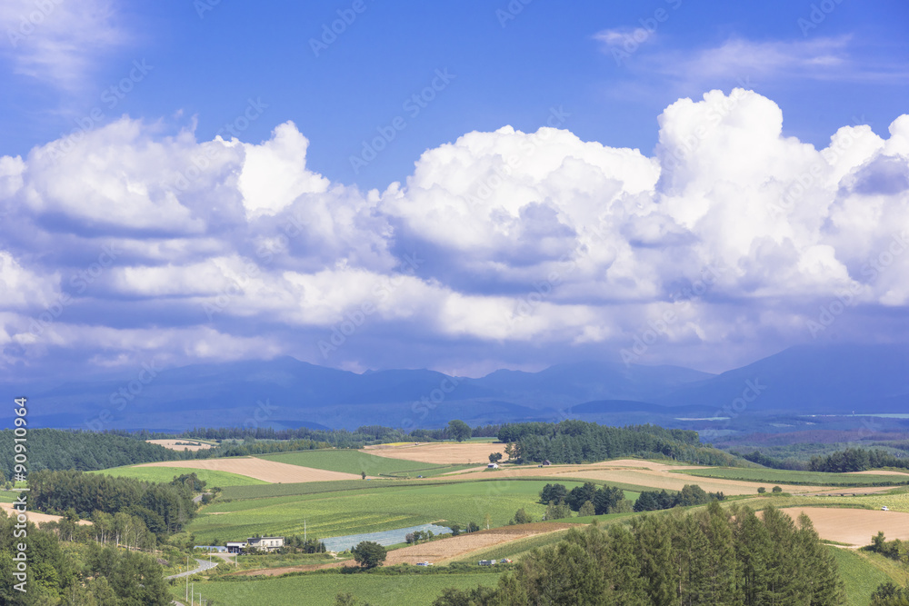 パノラマロード・田園風景