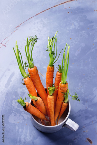 Bundle of carrots