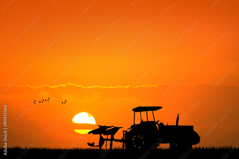 Fototapeta premium tractor in the fields at sunset