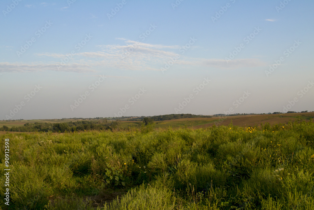 Prairie Landscape at Neal Smith Wildlife Refuge