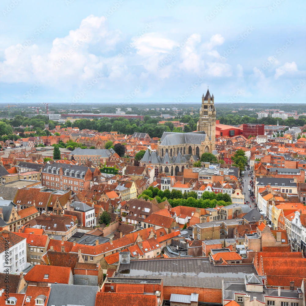 View over Bruges St. Salvator's Cathedral