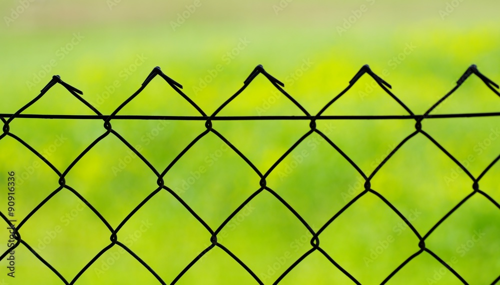 Fototapeta premium Zaun vor grüner Wiese