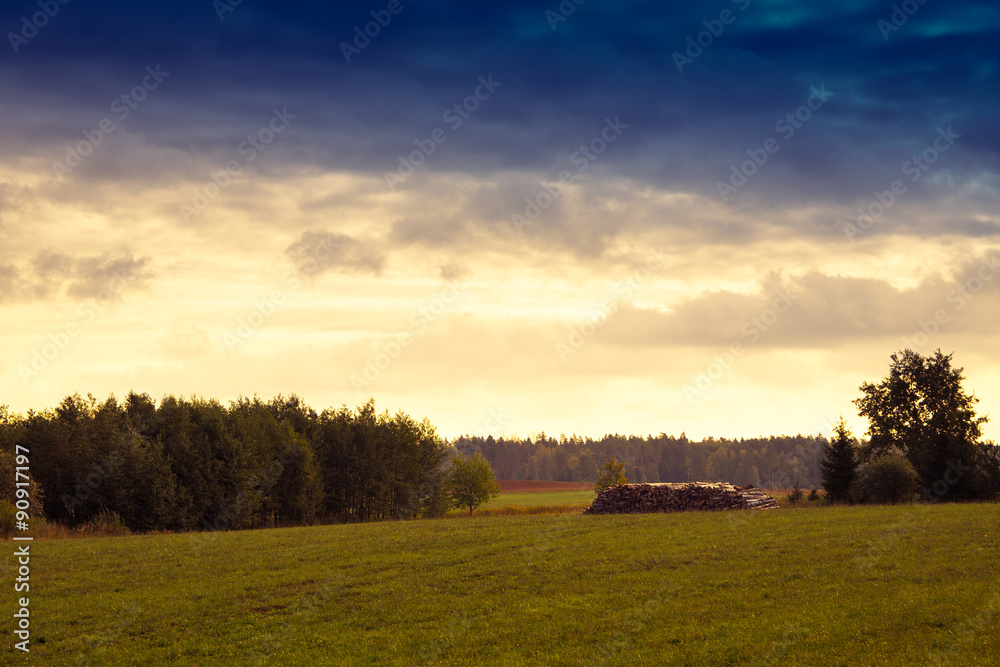 Fototapeta premium Wood pile on the meadow. Summer landscape - Masuria, Poland.