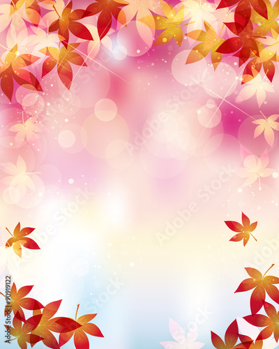 maple background
